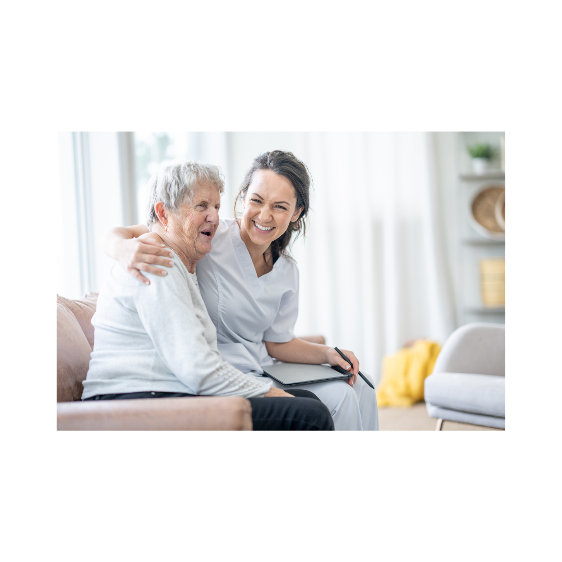 Domestic Assistance Image